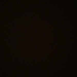 Meet your Posher, Ebony